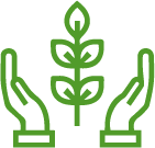 Green Icon