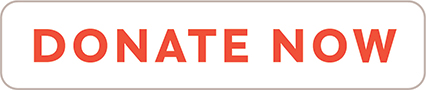 donate-now
